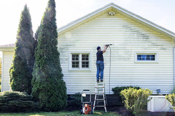 Best Driveway Pressure Washing  in Fair Haven, NY